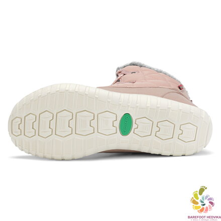 Saguaro Rise I XZF0172 Pink Winter