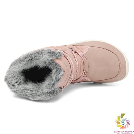 Saguaro Rise I XZF0172 Pink Winter
