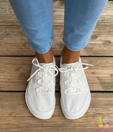 Saguaro Forestep XZH0177 White