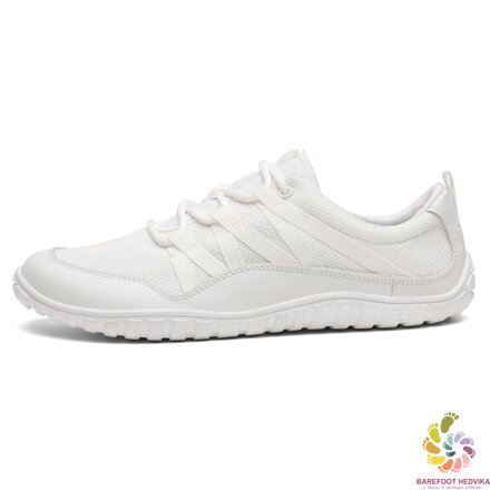 Saguaro Forestep XZH0177 White