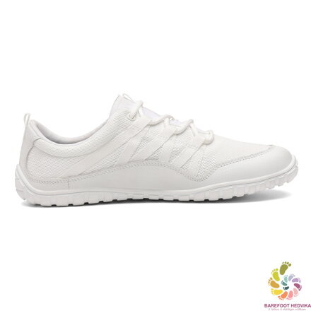 Saguaro Forestep XZH0177 White