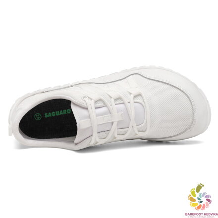 Saguaro Forestep XZH0177 White