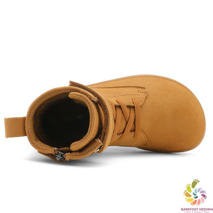 Saguaro Ambition I XZF0177 Brown Winter