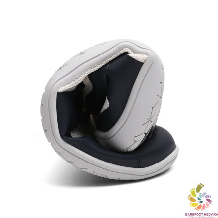 Saguaro Wish II XZH0182 Dark Blue