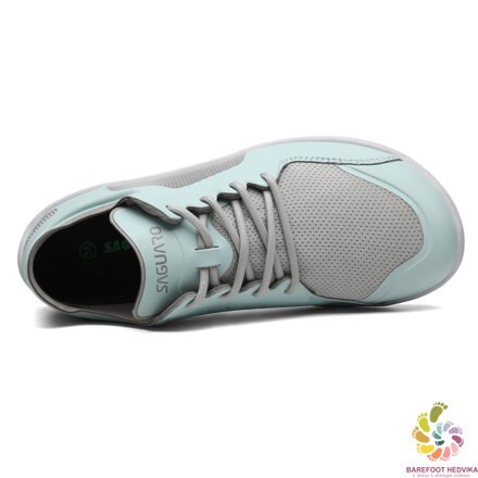 Saguaro Wish II XZH0182 Green