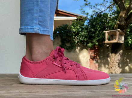 Saguaro Luck XZH0191 Rosy