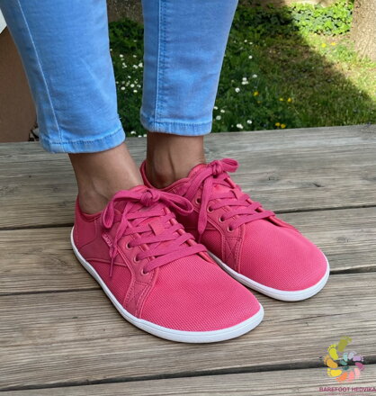 Saguaro Luck XZH0191 Rosy