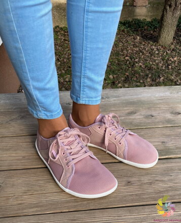 Saguaro Luck XZH0191 Pink