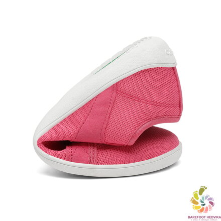 Saguaro Luck XZH0191 Rosy