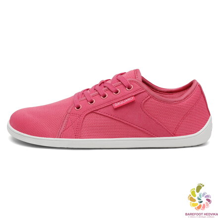 Saguaro Luck XZH0191 Rosy