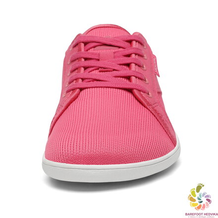 Saguaro Luck XZH0191 Rosy