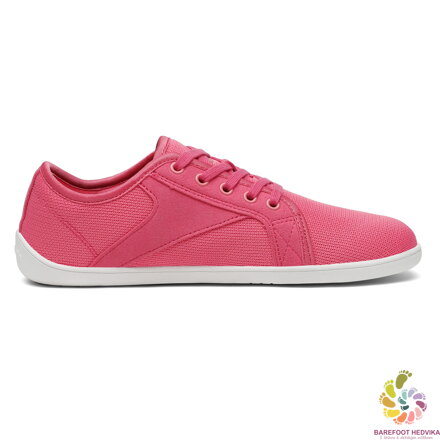 Saguaro Luck XZH0191 Rosy