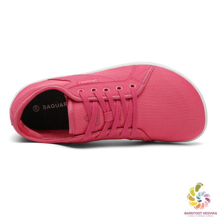 Saguaro Luck XZH0191 Rosy