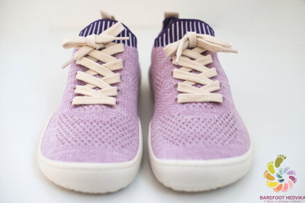 Sambas Essence Malvia