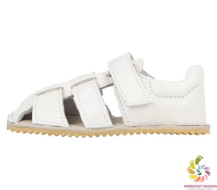 Jonap Zula 2025 White Shine