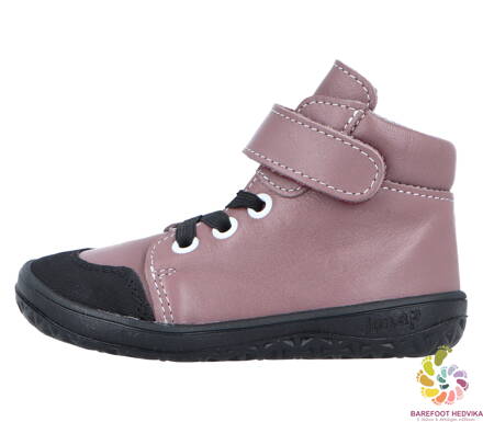 Jonap Polly 2026 Roseate