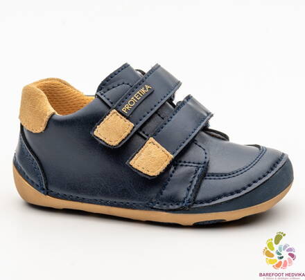 Protetika Maximo Navy