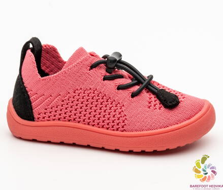 Protetika Gael Koral