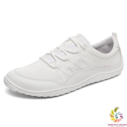 Saguaro Forestep XZH0177 White